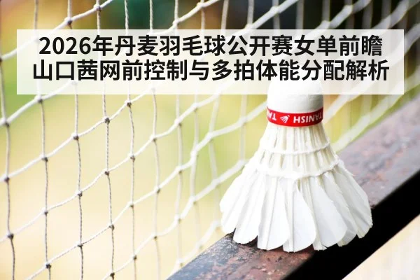 badminton net shot close up